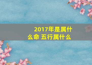 2017年是属什么命 五行属什么